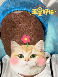 -上海宏康医院·医疗美容科