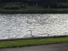 -白塘生态植物园