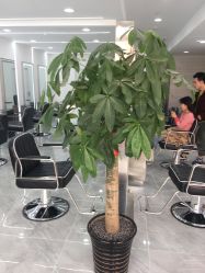 -Coo Hair salon