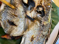 -杨合林啊兰烤鱼