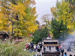 -潭柘寺景区