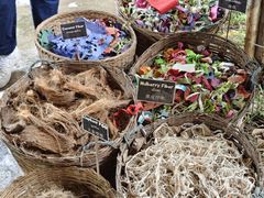 -大象粑粑造纸公园