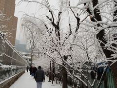-湘肠香火锅店(团结湖店)