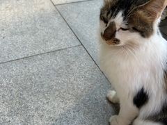 -西安大兴善寺