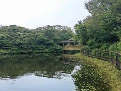 -济州森林小火车生态公园