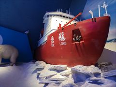-海合安天津极地海洋公园
