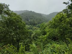 -三门江国家森林公园