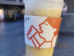 多肉芒芒甘露MAX-喜茶(天津乐宾百货店)
