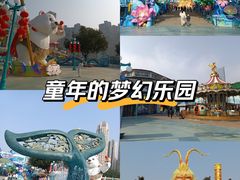 -海合安成都极地海洋公园