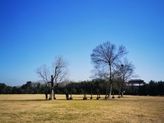 -合肥三国新城遗址公园