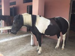 -龙口南山旅游景区