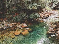 -祁门牯牛降观音堂风景区