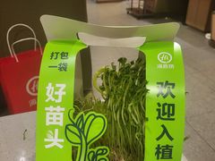 -海底捞火锅(凯德广场店)