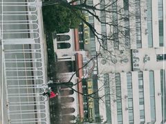 -巴依老爷新疆美食(工体旗舰店)