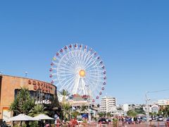 -美国村