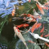 想去动物园？来乐zoo动物体验营！