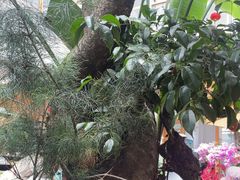 -四方小吃·白族庭院餐厅