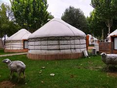 -九十九顶毡房(阜石路店)