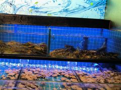 -透明思烤·自助烤肉海鲜火锅(东部星悦天地店)