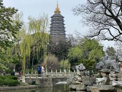 -红梅公园
