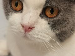 -宝大祥青少年儿童购物中心(南京东路店)