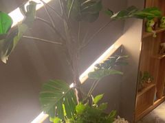 -禧瑞 ·丝浴主题·水疗·spa(中山公园店)