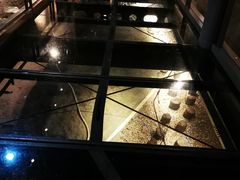 -元代水闸遗址博物馆