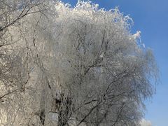 -雾凇岛