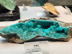 -湖南省地质博物馆
