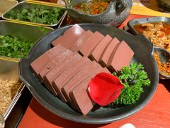 -谭鸭血老火锅(龙湖宝山天街店)