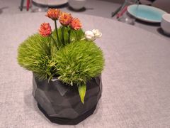 -南堂馆·新川菜(春熙路店)