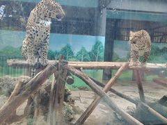 -昆明动物园