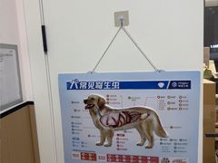 -瑞派康怡24h宠物医院·犬猫医疗中心·微创绝育(瑞景分院)