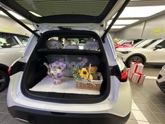-上海浦东smart汽车全功能店(金桥店)