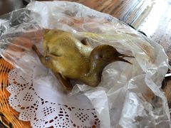 -百利鸽王(紫薇路店)