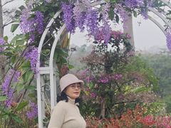-东莞植物园
