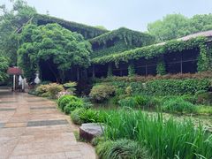 -中国茶叶博物馆(双峰馆区)