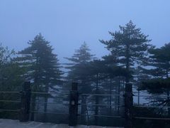 -黄山白云宾馆