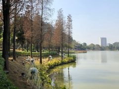 -顺峰山公园