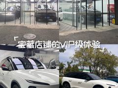 -XPEL旗舰店·汽车贴膜·隐形车衣·改色贴膜