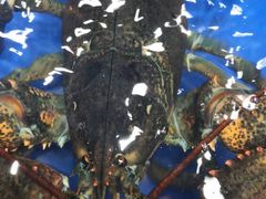 -船家渔(徐州北路店)