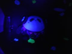 -上海世茂广场(南京东路店)