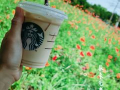 -五通灯塔公园