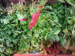 珍珠菜-龙眼市场(龙眼南路店)
