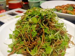 -北平盛世·新京菜·北京烤鸭(劲松·双井店)