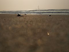 -南戴河旅游度假区