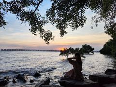 -宝安西湾红树林湿地公园