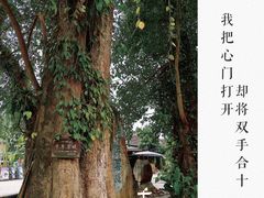 -西双版纳傣族园