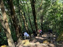 -梧桐山风景名胜区