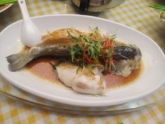 清蒸鲩鱼-老廣食堂(区庄店)